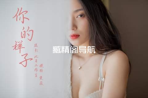 臧精阁导航
